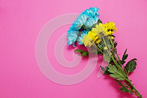 Yellow and blue summer flowers composition isolated on pink background. Mother and women day. Valentine holidays concept. Top view