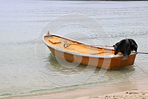 The yellow boat is parked on the beach.