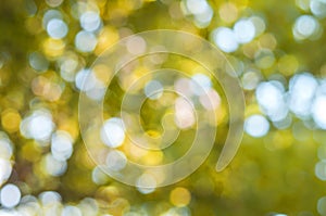Yellow bokeh abstract light background, outdoor
