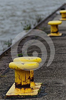 Yellow bollards on the quay