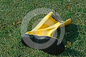 Yellow Boot in Grass