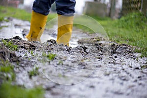 Yellow boots