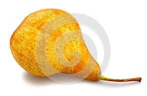 Yellow bosc pears
