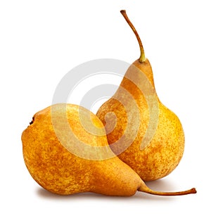 Yellow bosc pears