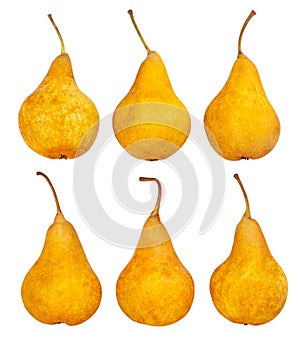 Yellow bosc pears