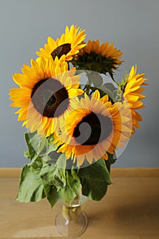 Yellow bouquet of sunflowers Congratulations