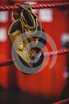 Yellow boxing gloves hanging off the boxing ring