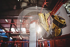 Yellow boxing gloves hanging off the boxing ring