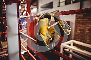 Yellow boxing gloves hanging off the boxing ring