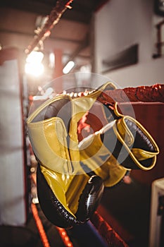 Yellow boxing gloves hanging off the boxing ring