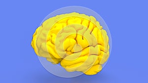 The yellow Brain for sci or education concept 3d rendering