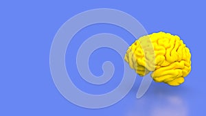 The yellow Brain for sci or education concept 3d rendering