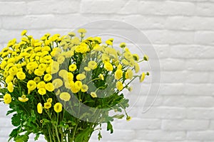Yellow bright bouquet of wild flowers in a vase