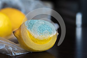 Yellow bright moldy lemon with a large light turquoise textured mold on a dark wooden table. Spoiled Fruit