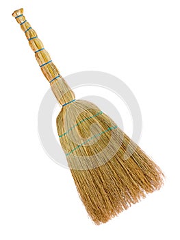 Yellow broom