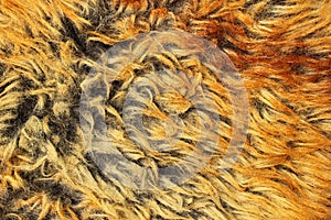 Yellow and brown fur texture