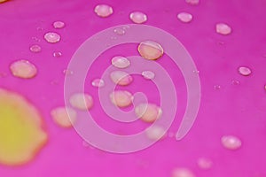 yellow bubbles of oil on pink liquid, background with abstract colorful bubbles. Macro detail for chemistry and research