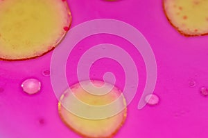 yellow bubbles of oil on pink liquid, background with abstract colorful bubbles. Macro detail for chemistry and research