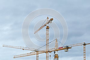 Building constraction cranes against the grey sky photo