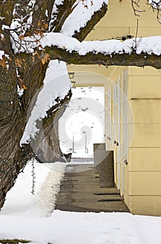 Yellow Building Front In Winter Snow