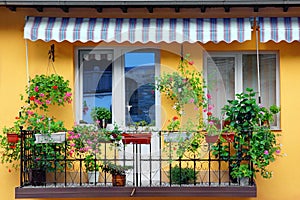 Yellow Building Wall With Balcony Flowery Garden photo