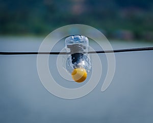 A yellow bulb on blurred background