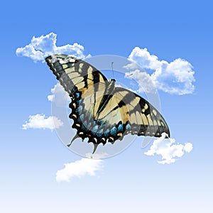 Yellow Butterfly with Clouds and a Blue Sky Background