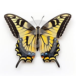 Yellow Butterfly With Black Wings - Aerial View Precisionist Art photo