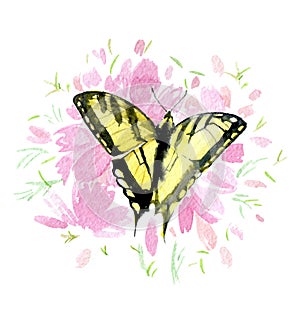 Yellow butterfly on pink flowers isolated on white background, watercolor