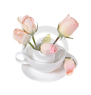 Yellow butterfly on pink roses on isolated white