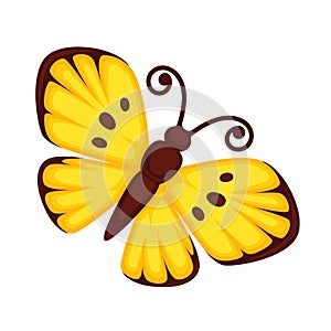 Yellow butterfly with spots on wings and with antennas