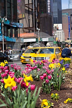 Yellow cab speeds through Times Square in New York.