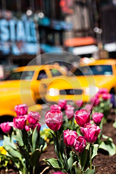 Yellow cab speeds through Times Square in New York.