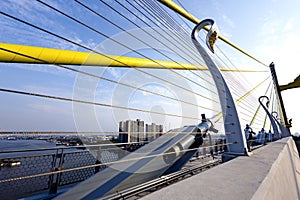 Yellow Cables On A Suspension Bridge