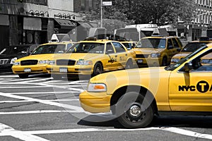 Yellow cabs in a monochrome world photo