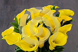 Yellow Calla lilies