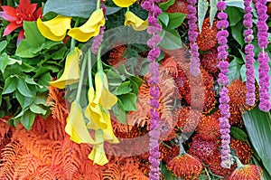 Yellow Calla lilies in composition with African Proteas and Guzmania