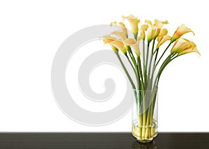 Yellow calla lily flower in vase