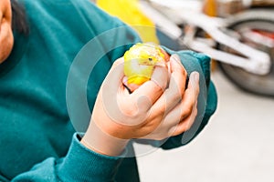 Yellow canary in the hands of a girl. bald little bird. care tenderness protection.