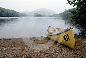 Yellow canoe and canadian lake photo