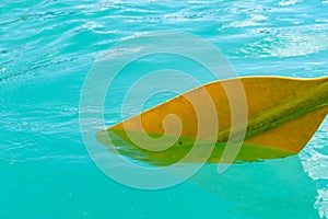 Yellow canoe paddle in the teal water of Emerald Lake in Yoho National Park Canada