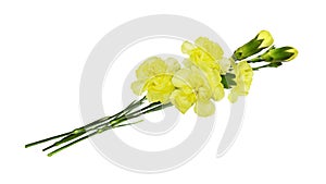 Yellow carnation flowers in a small bouquet isolated