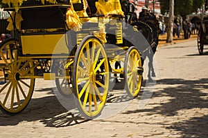 Yellow carriages in seville