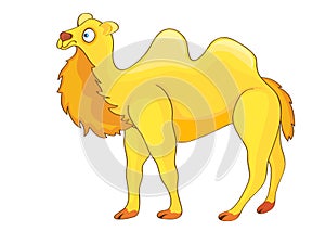 Yellow Cartoon Camel.