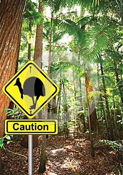 Yellow cassowary sign warning