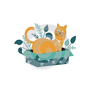 Yellow cat in box illustration