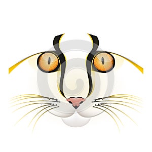 Yellow cat face vector