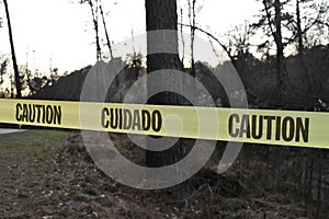 Yellow Caution Tape Blocking off a Dark Forest photo