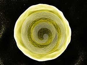 Yellow cell - 3D illustration