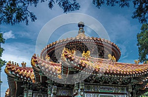 Yellow ceramic  dragons as decoration on a roof in china